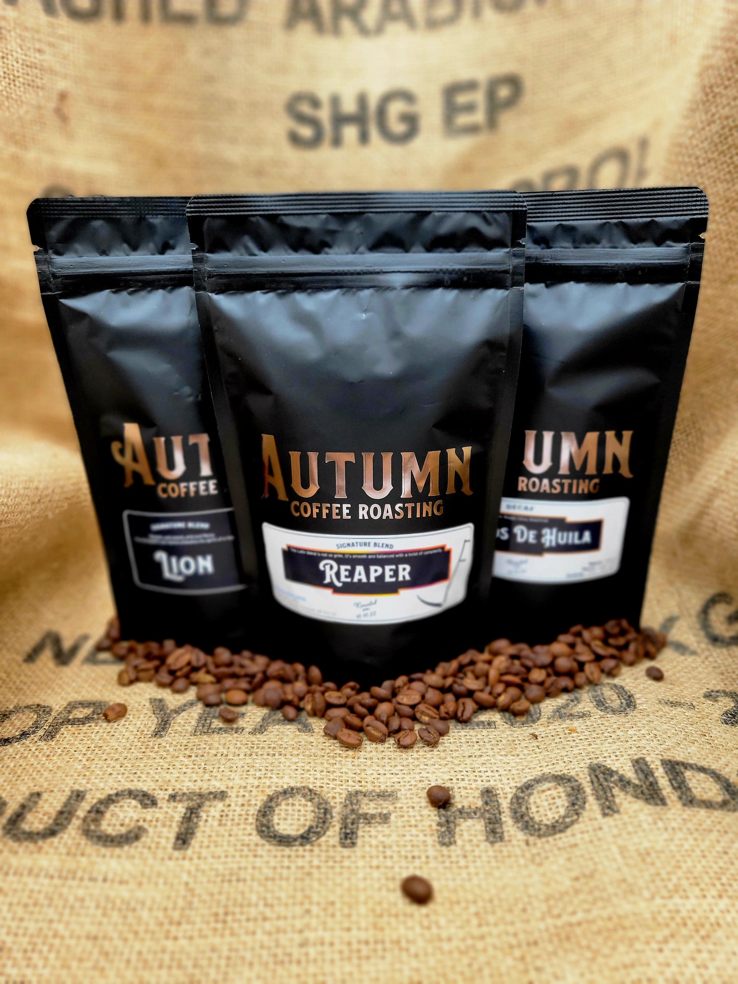 Autumn Sampler